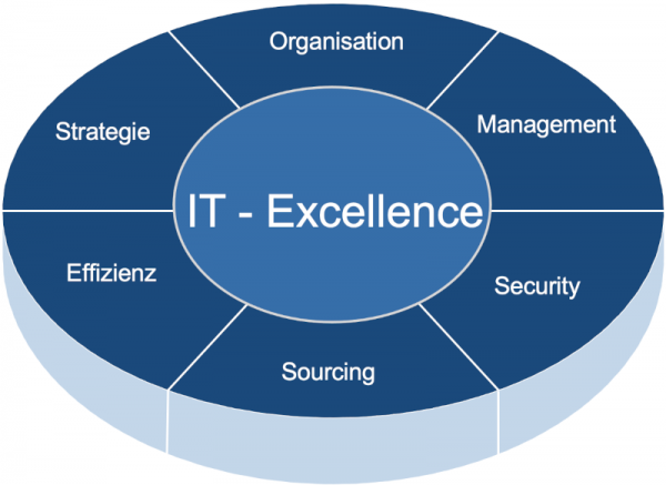 IT-Managementberatung